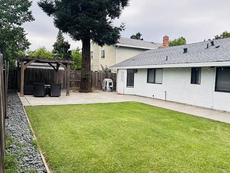 backyard lawn