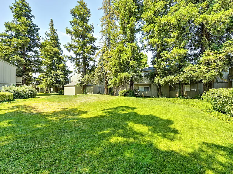 The Redwoods Apartments — Photo 19