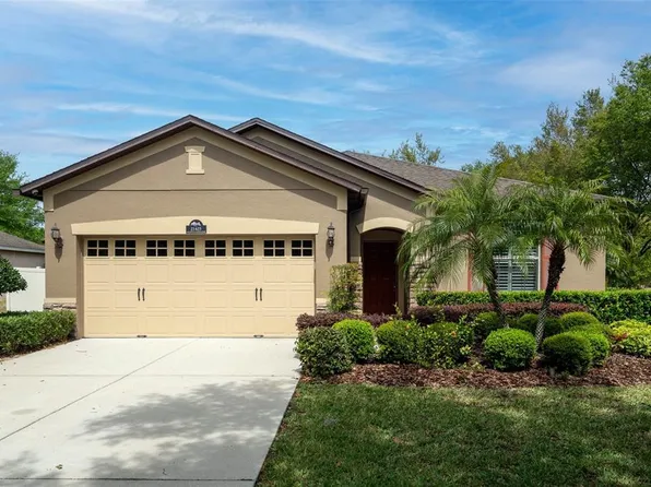 21425 Sullivan Ranch Blvd, Mount Dora, FL 32757