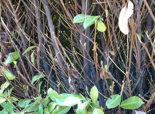 4402 50th Ave SW, Seattle, WA 98116