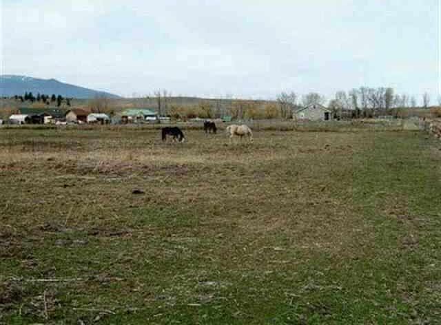 1st image of Nhn Sunny Acres