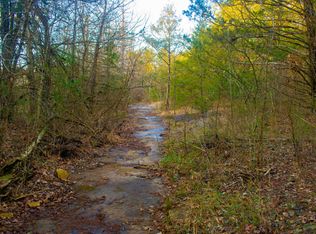 586 Persimmon Hill Ln, Lampe, MO 65681