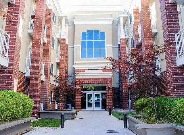 The Mercer