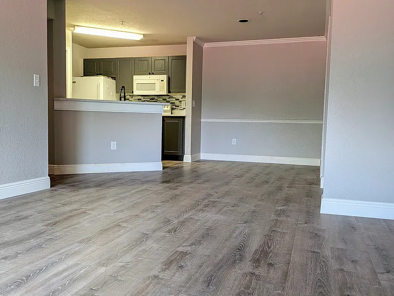 4209 Woodstorks Walk Way #205 — Photo 9