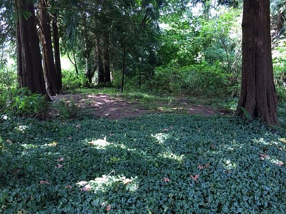 Park-like setting, orchard, grape arbor