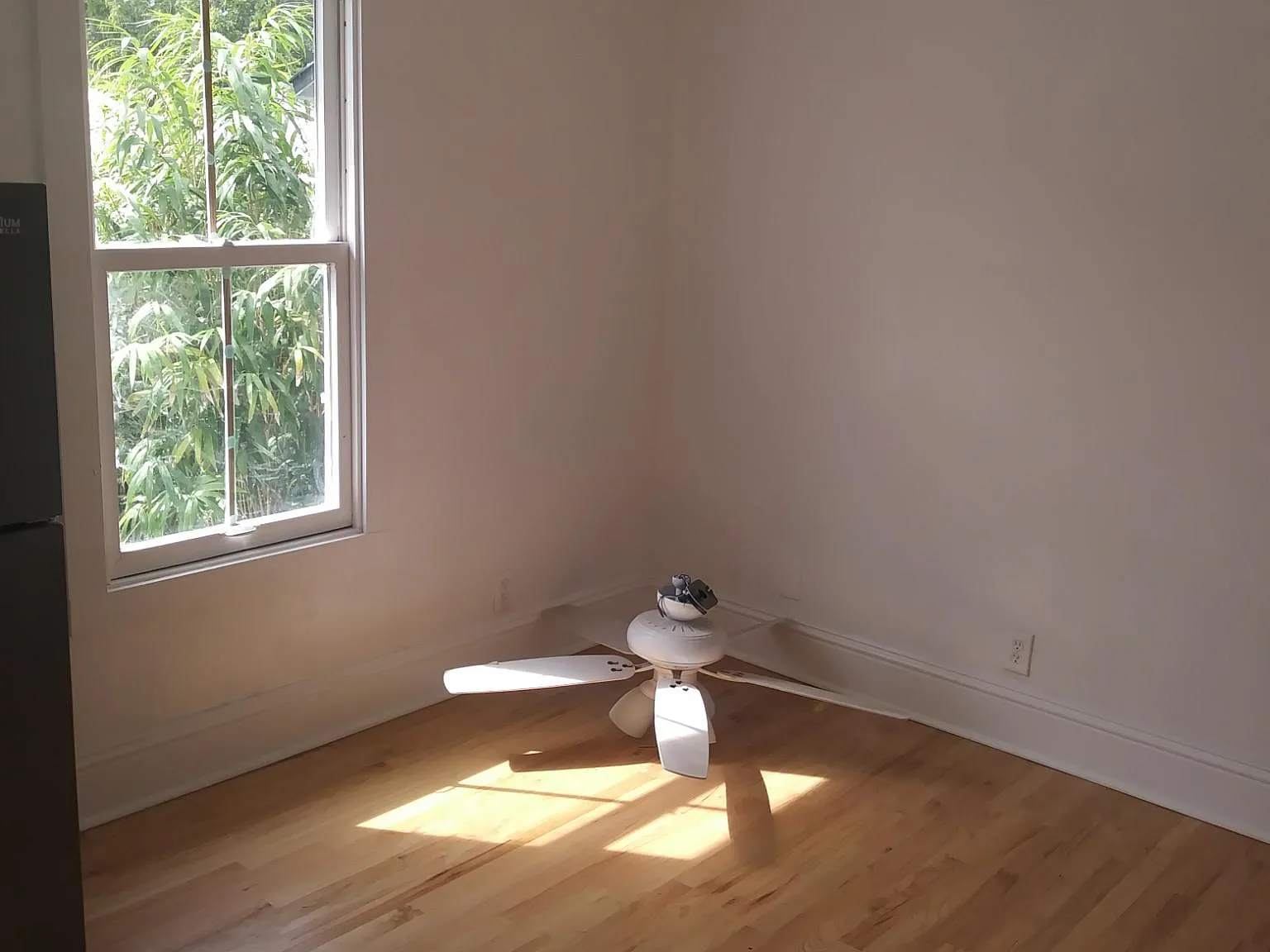 1 bed, 500 sqft, $1,399 — Photo 4