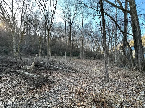 Sulphur Springs Rd, Clinton, TN 37716