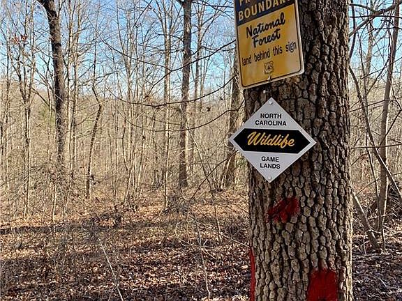 2nd image of 1201-4A Highway 49 Lot 4A