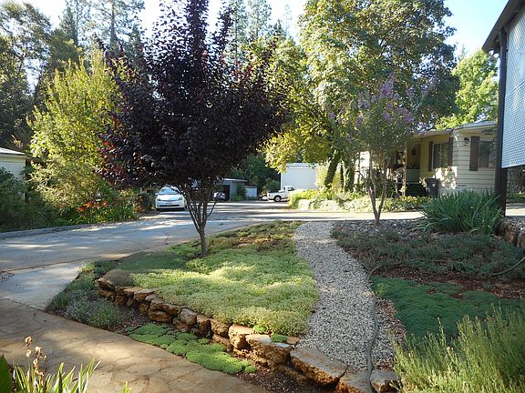View looking toward street.