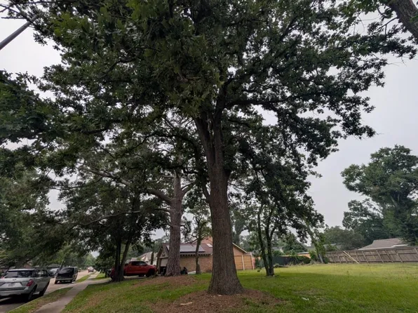 10525 Moorberry Ln Lot 73, Houston, TX 77043