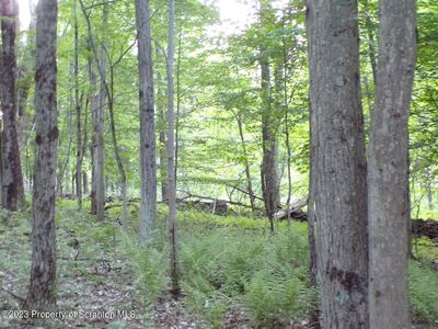 1353A Wright Rd, Kingsley, PA, 18826