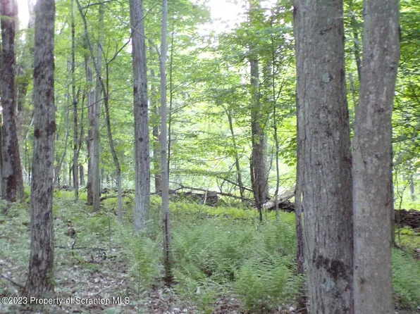 1353A Wright Rd, Kingsley, PA 18826