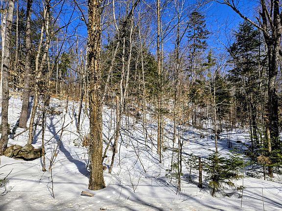 2nd image of Lot 10-C Staples Pond Road