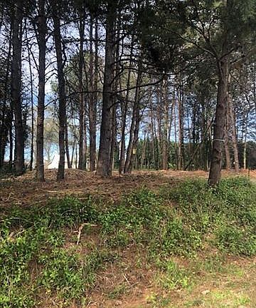 3rd image of 00 Southwood Loop #37