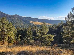 279 Wagon Wheel Rd, Guffey, CO 80820