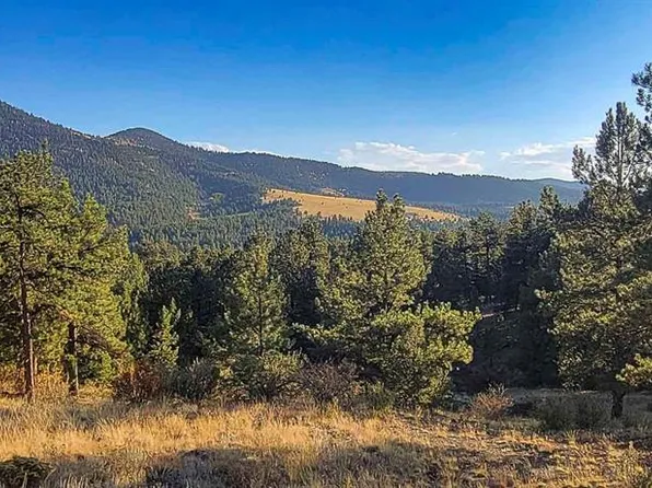 279 Wagon Wheel Rd, Guffey, CO 80820