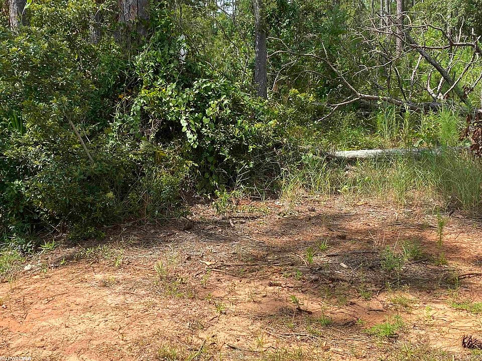 1st image of LOT 181 Boykin Blvd #181