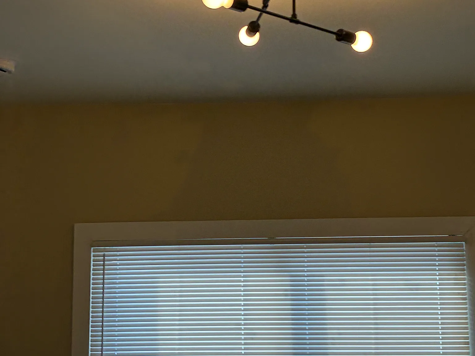 2 bed, 2000 sqft, $1,550 — Photo 3