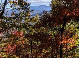 Roach Cove Rd, Hayesville, NC 28904