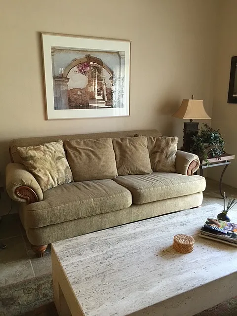 Living room - Eisenhower Dr