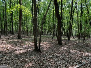 0 Skitts Mountain Rd, Clermont, GA 30527