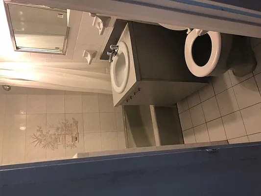 Rented by Eric Goodman Realty Corp | media 36