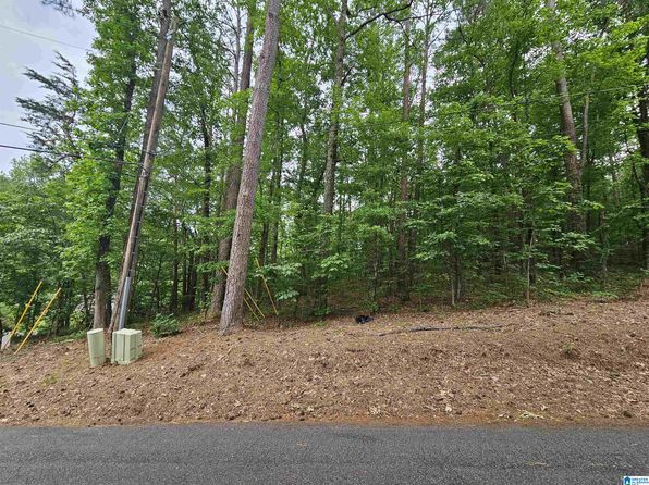 4800 Washington Rd LOT 11, Bessemer, AL 35023