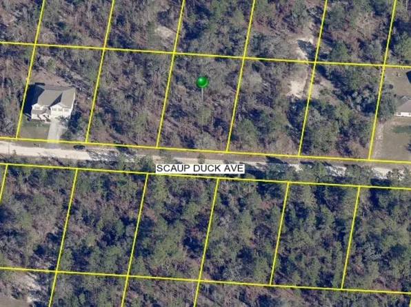15163 Scaup Duck Ave Lot 21, Brooksville, FL 34614