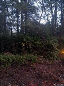 18419 Rouse Rd SW, Longbranch, WA, 98351