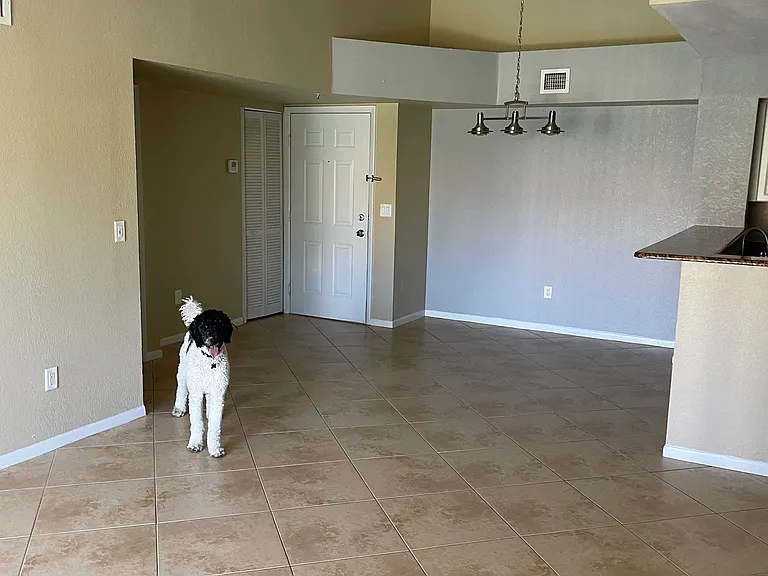 127 Yacht Club Way #307 — Photo 4