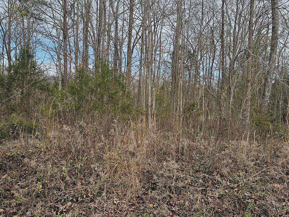 2nd image of 0 Lynn Ln Lot 23