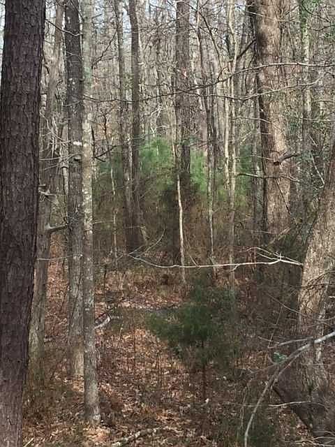2nd image of 1034 Old Bush River Rd