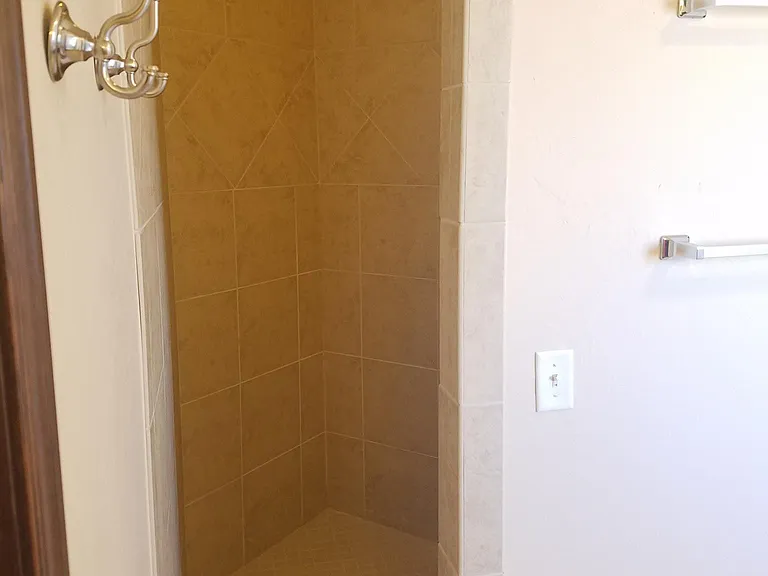 main master walking shower