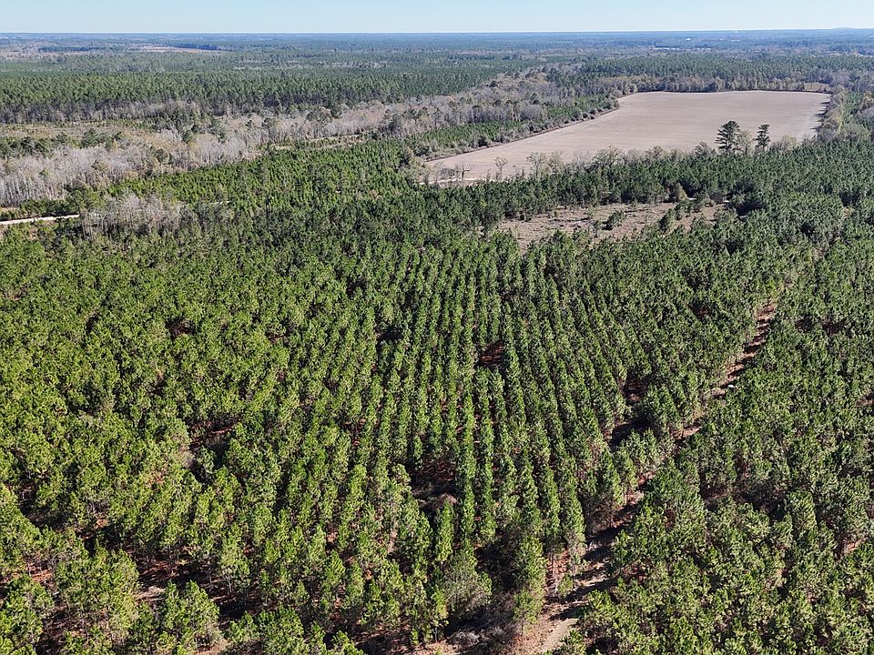 2nd image of Owens Rd