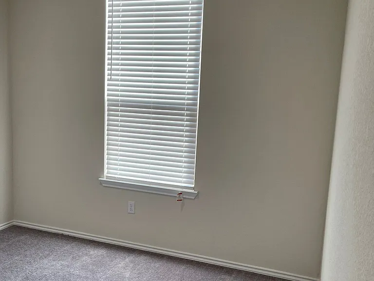 161 Prairie Falcon Way — Photo 21