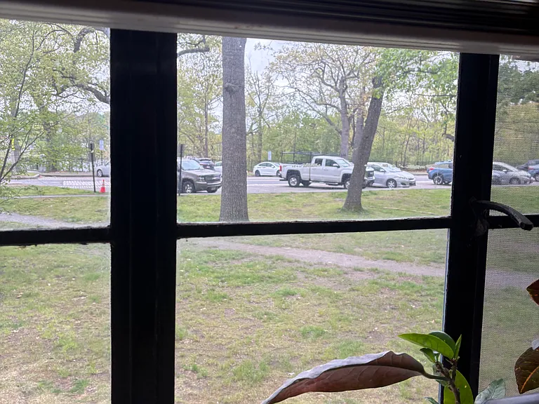 Parklake — Photo 3