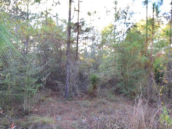 3rd image of 000 Olive Lane