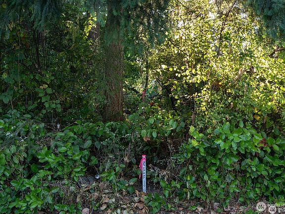 2nd image of 1111 1st Avenue NE