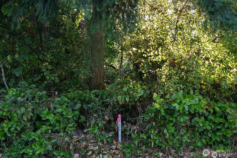 2nd image of 1111 1st Avenue NE