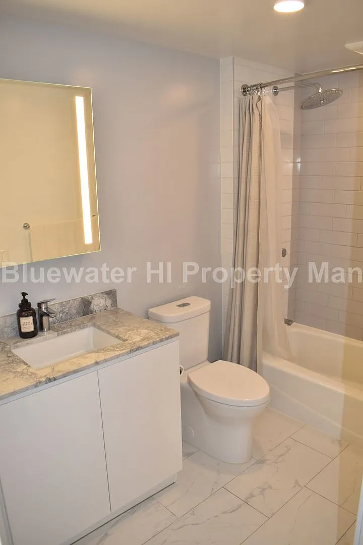 A'ali'i Studio, 1 Bath, 1 Parking w/ Storage Locker — Photo 4