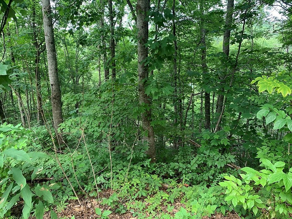 2nd image of 503 Overlook Ct #503