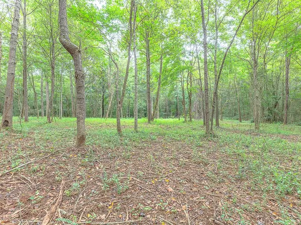 TRACT 5 Old Dalton Cleveland Hwy, Cohutta, GA 30710