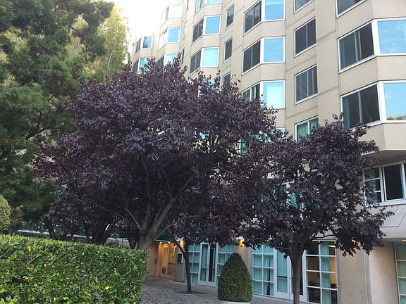 5th image of 220 Lombard St APT 319