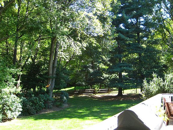 Backyard2