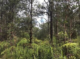 Road 4, Mountain View, HI 96771