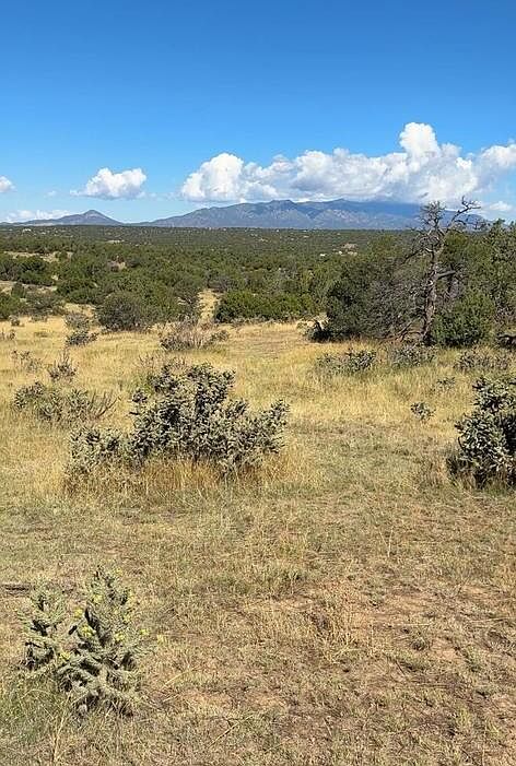 1st image of 463 Rio Cucharas Chase #2-335-339