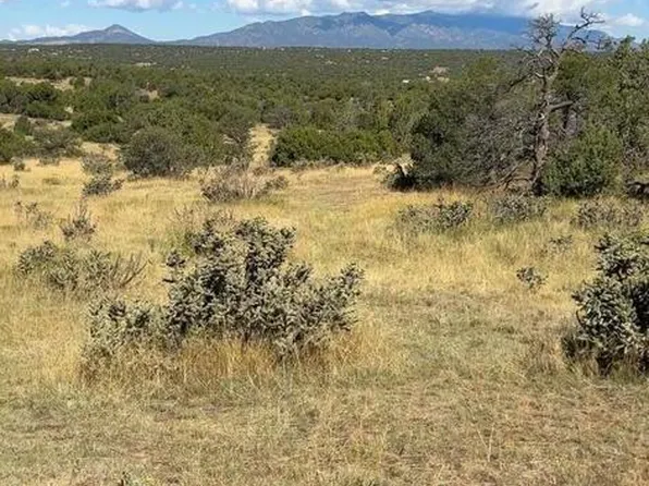 463 Rio Cucharas Chase #2-335-339, Walsenburg, CO 81089