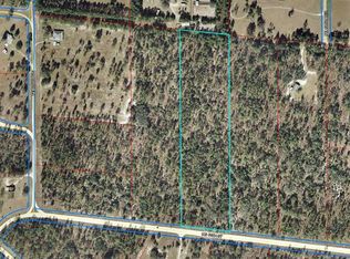 40 Northeast St, Williston, FL 32696