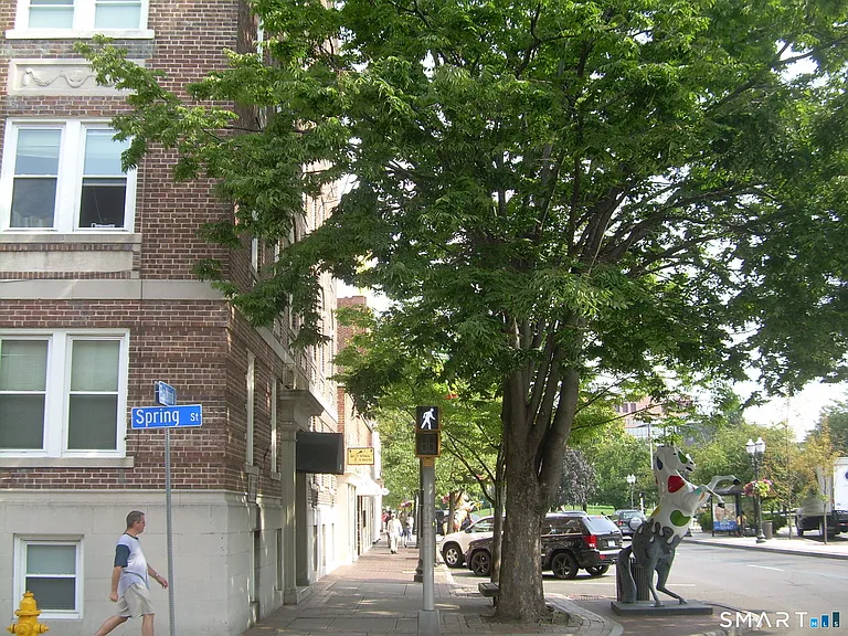 218 Bedford St #4B — Photo 10