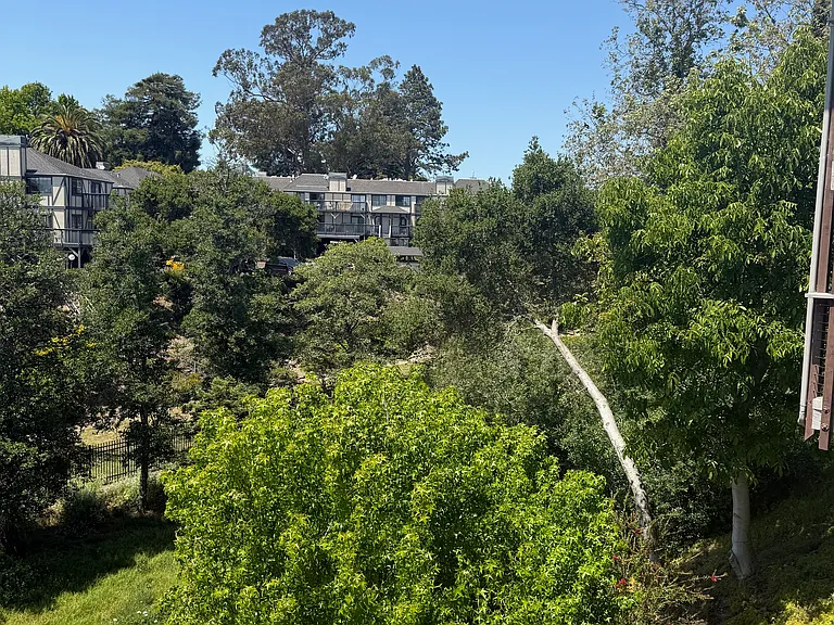 225 Buena Vista Ave #1 — Photo 21